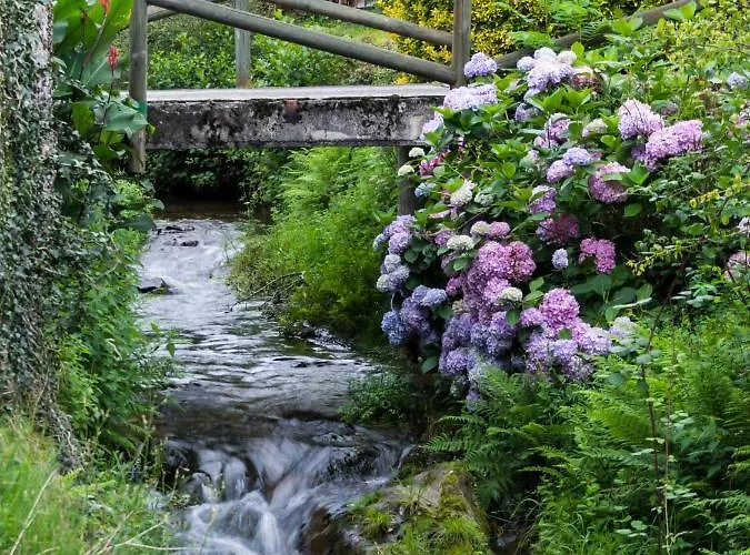 Villa Tareira En Taramundi
