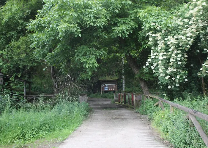 Tareira En Villa Taramundi